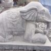 Mẫu Con Giống Đá VT-0101
